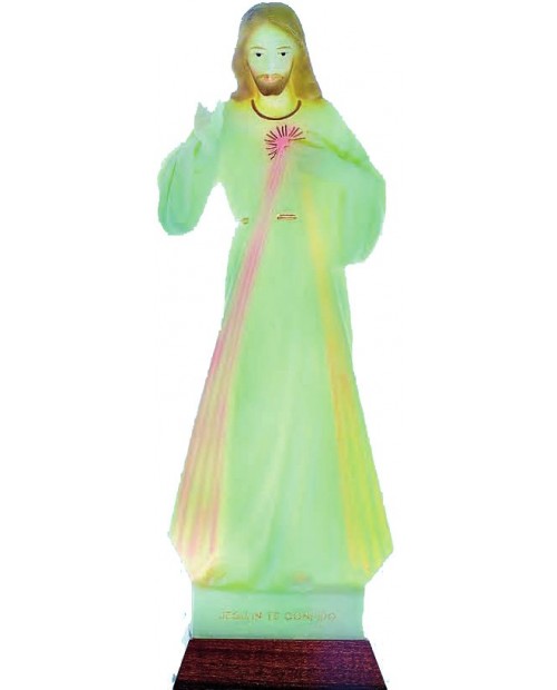 Statue of the Jesus Christ Merciful﻿